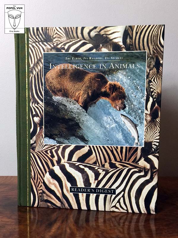 Michael Bright - Intelligence In Animals